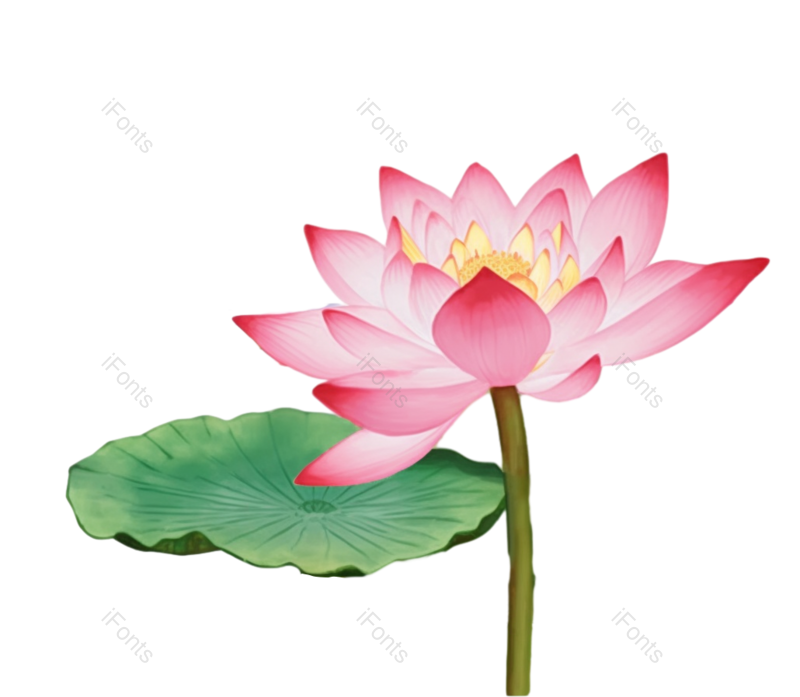 叶子图片,元素元素,荷花PNG,夏天免抠素材